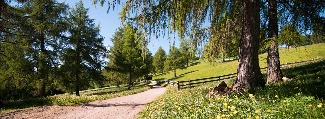 Passeggiata Altipiano del Salto