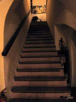 Osteria La Civetta - Scale