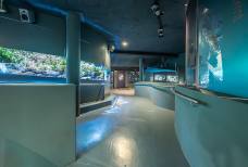 Centro Visite aquaprad - Rampa
