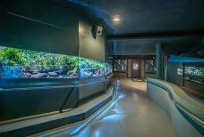 Centro Visite aquaprad - Rampa