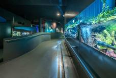 Centro Visite aquaprad - Rampa