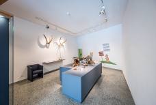 Centro Visite Naturatrafoi - Mostra