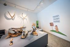 Centro Visite Naturatrafoi - Mostra