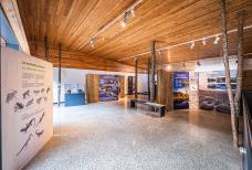 Centro Visite Naturatrafoi - Mostra al secondo piano