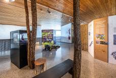 Centro Visite Naturatrafoi - Mostra al secondo piano