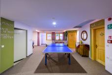 Hotel Schwarzenbach - Sala giochi