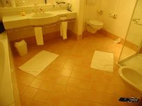 Wellness Hotel Engel - Bagno