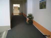 Hotel Plunhof - Rampa