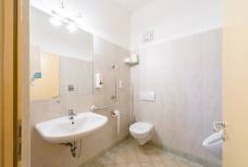 Hotel Julius Payer - Altri locali igienici