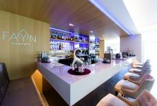 Hotel Fayn - Bar