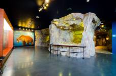 Museum Ladin Ursus ladinicus - Piano inferiore - Grotta dell'orso