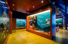 Museum Ladin Ursus ladinicus - Obergeschoss - Fossilien