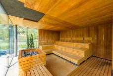 Alpiana Resort - Panorama Sauna