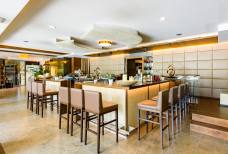 Alpiana Resort - Bar