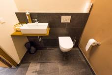 Alpin & Relax Hotel Das Gerstl: Toilette Hallenbad