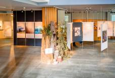 Naturparkhaus Rieserferner-Ahrn: Ausstellungsraum