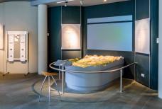 Naturparkhaus Rieserferner-Ahrn: Ausstellungsraum