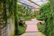 Raffeiner Orchideenwelt - Rampa