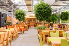 Ristorante Orchidea - Sala ristorante