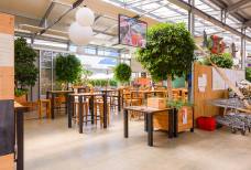 Ristorante Orchidea - Sala ristorante