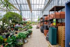 Vivaio e Giardino