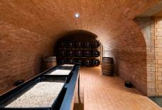 Cantina distilleria Puni