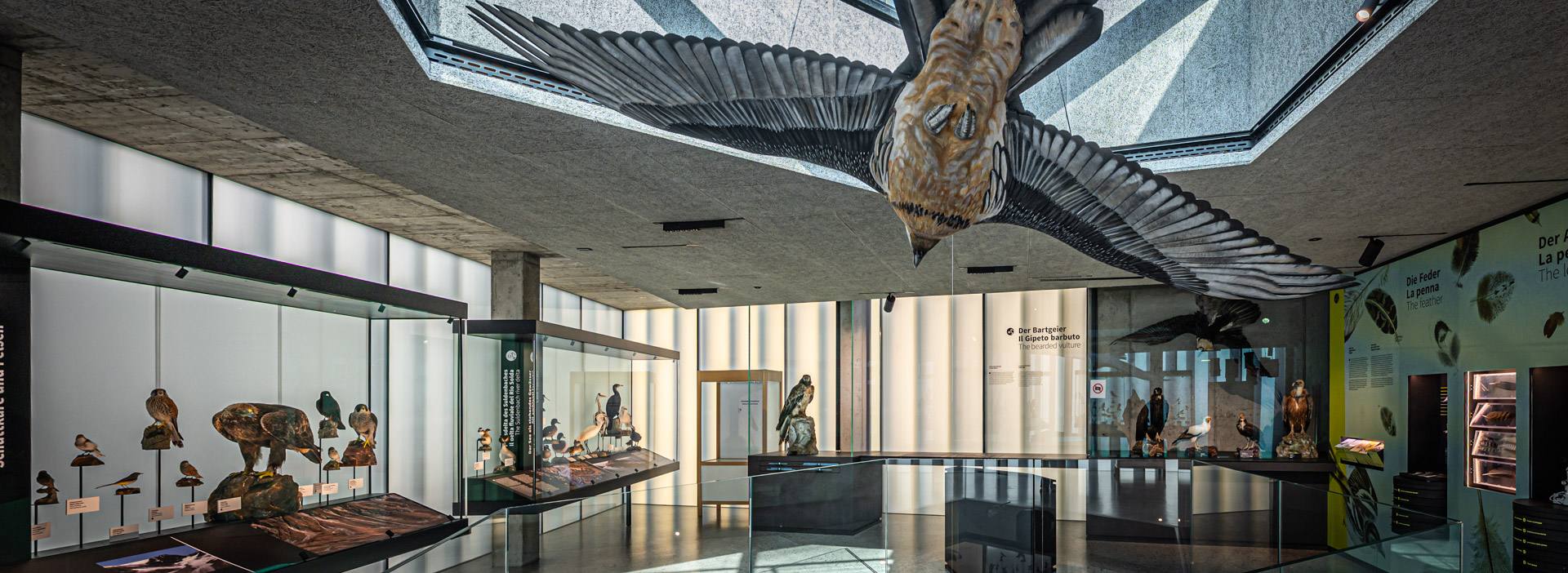 avimundus - Besucherzentrum des Nationalparks Stilfserjoch