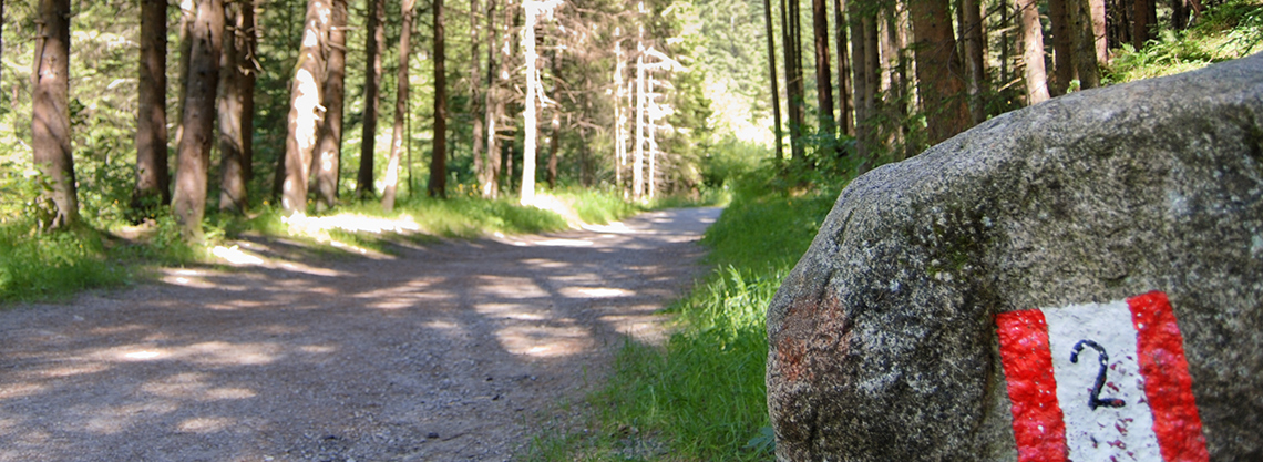 Wanderung zu den Reinbach-Wasserfällen